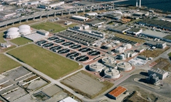 Annacis Island Wastewater Treatment Plant - Open Water Data