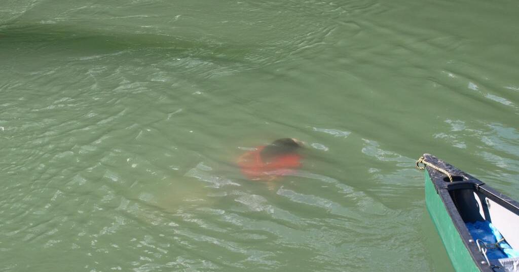 Chaumont Village Beach Open Water Data