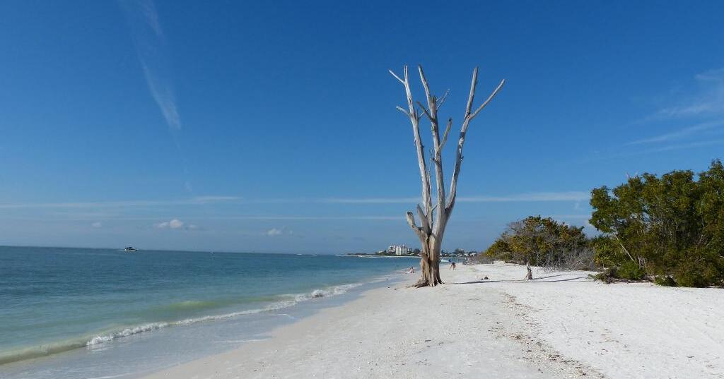Lovers Key State Park - Open Water Data